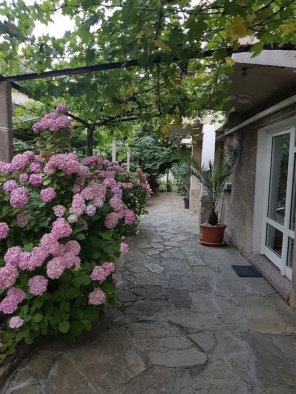 Guest House Veselina Primorsko