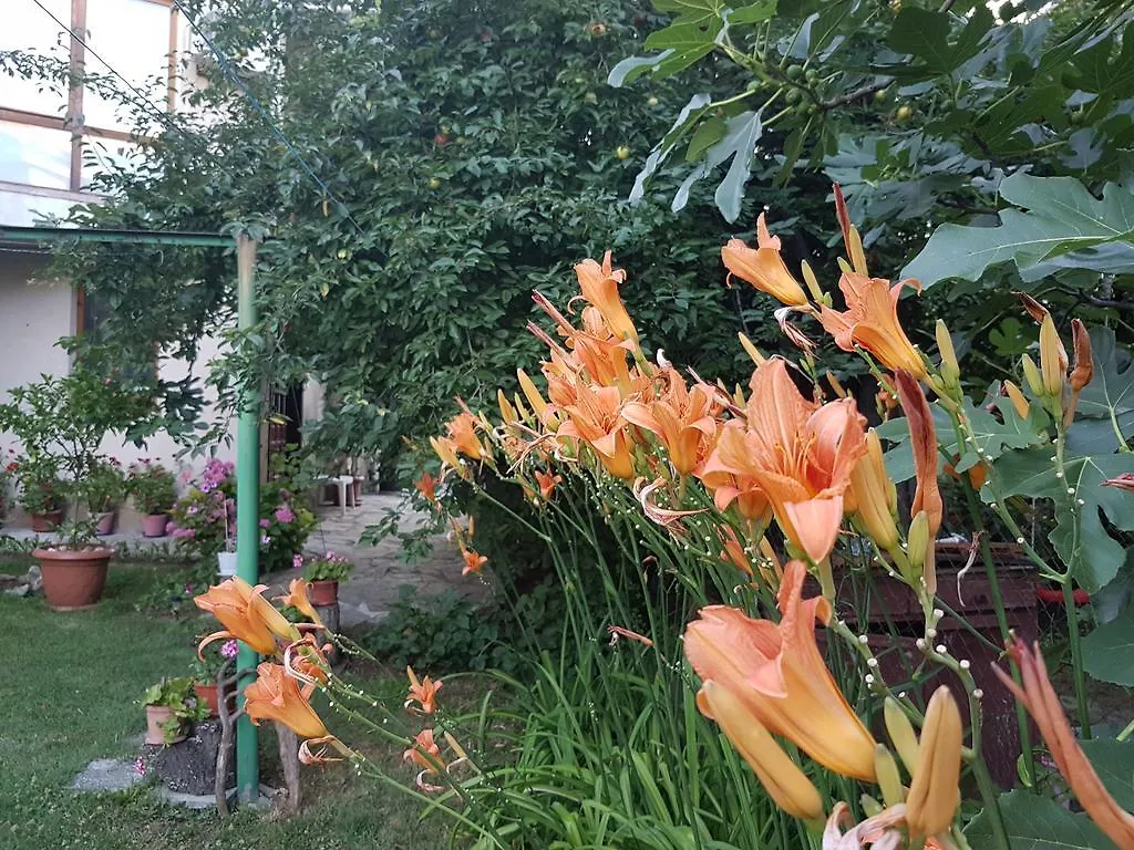 Guest House Veselina Primorsko