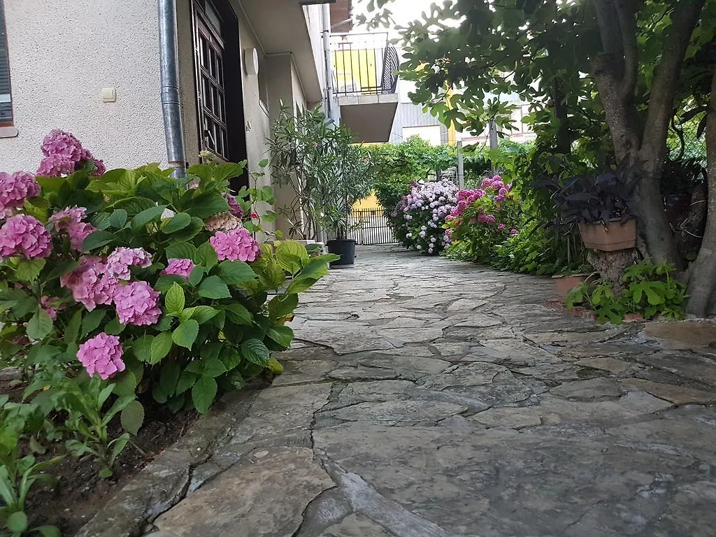 Guest House Veselina Primorsko 0*,  Bulgaria