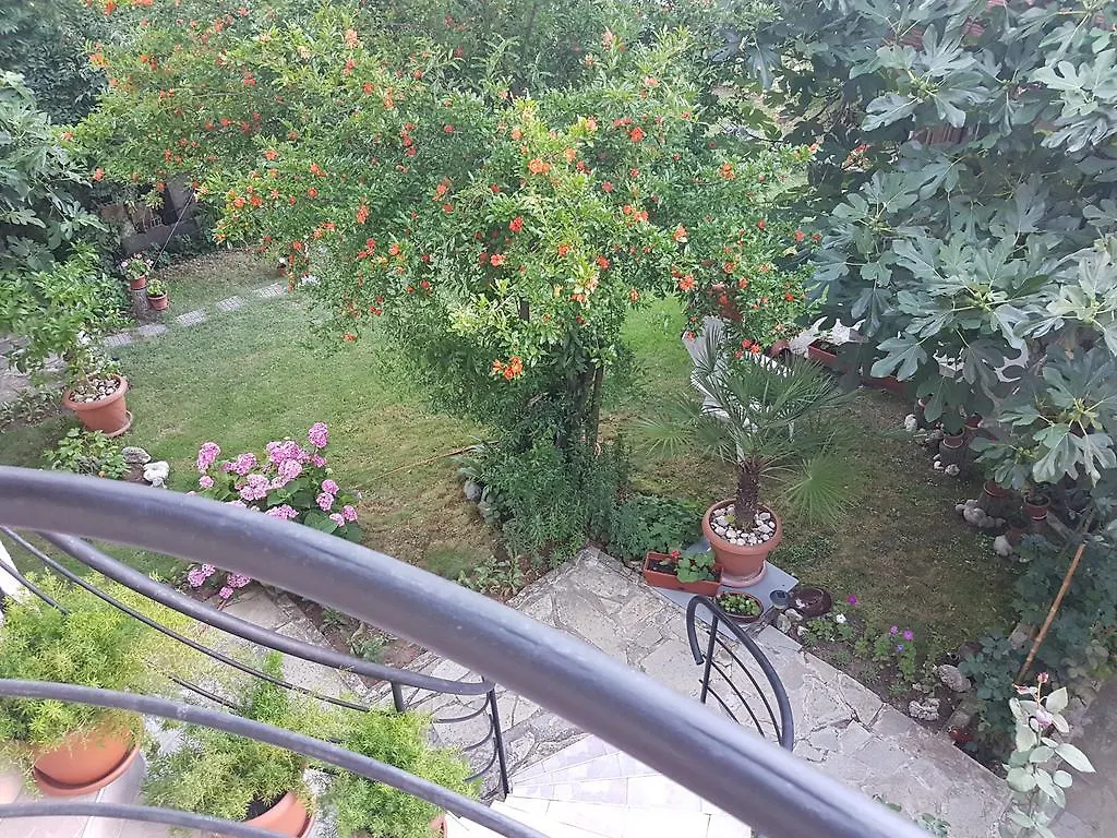 Guest House Veselina Primorsko