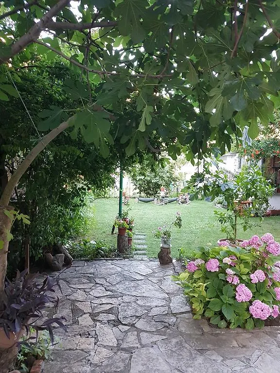 Guest House Veselina Primorsko