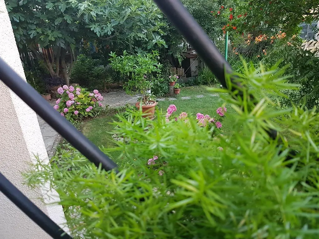Guest House Veselina Primorsko Bulgaria