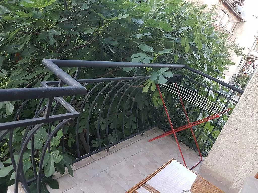 Guest House Veselina Primorsko